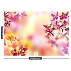 tulup.sk Fototapeta Ružová orchidea Vliesová fototapeta 152x104 cm