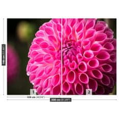 tulup.sk Fototapeta Dahlia pink Samolepiaca fototapeta 208x146 cm