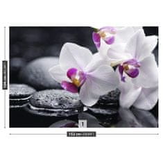 tulup.sk Fototapeta Orchidea Samolepiaca fototapeta 208x146 cm