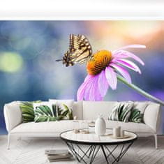 tulup.sk Fototapeta Echinacea butterfly Vliesová fototapeta 104x70 cm
