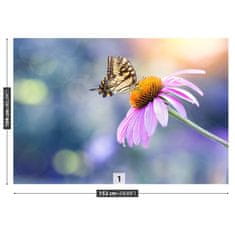 tulup.sk Fototapeta Echinacea butterfly Samolepiaca fototapeta 250x104 cm