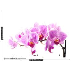 tulup.sk Fototapeta Ružová orchidea Samolepiaca fototapeta 250x104 cm