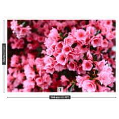 tulup.sk Fototapeta Ružový rododendron Samolepiaca fototapeta 104x70 cm