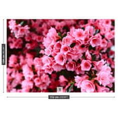 tulup.sk Fototapeta Ružový rododendron Samolepiaca fototapeta 104x70 cm