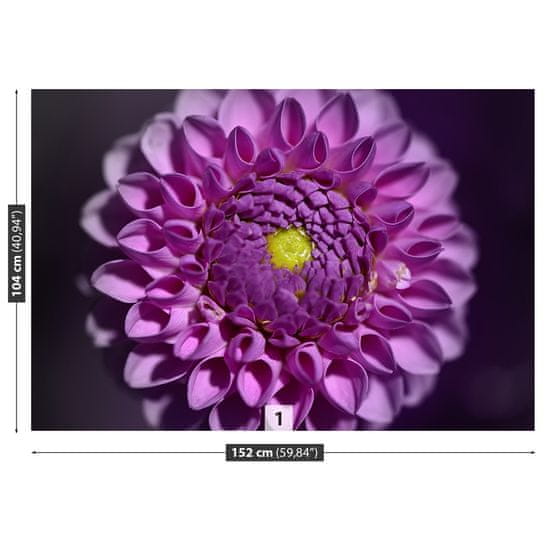 tulup.sk Fototapeta Dahlia ružová Vliesová fototapeta