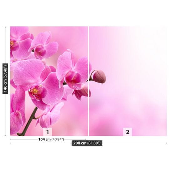 tulup.sk Fototapeta Ružová orchidea Vliesová fototapeta