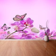 tulup.sk Fototapeta Orchid motýľ Samolepiaca fototapeta 104x70 cm