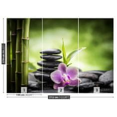 tulup.sk Fototapeta Orchidea zen Samolepiaca fototapeta 416x254 cm