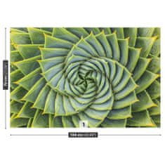 tulup.sk Fototapeta Aloe symmetry Samolepiaca fototapeta 208x146 cm