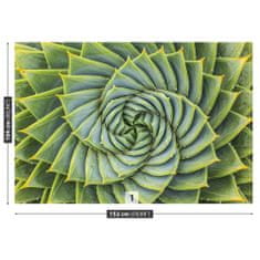 tulup.sk Fototapeta Aloe symmetry Samolepiaca fototapeta 208x146 cm