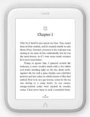 Barnes and Noble Nook Simple Touch GlowLight - 2 GB, WiFi