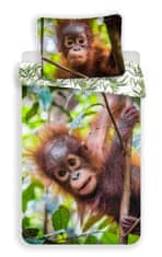 Jerry Fabrics Obliečky fototlač Orangutan 02 140x200, 70x90 cm