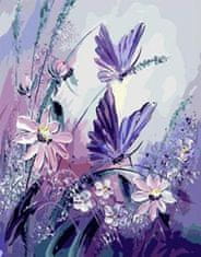 Gaira® Malovanie podľa čísel Motýle na kvetoch M1106