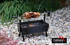 Greatstore Gril BARBECUE - 60 cm s motorom, 230 V