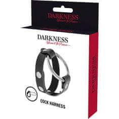 Darkness Penis Ring + BDSM Testicles