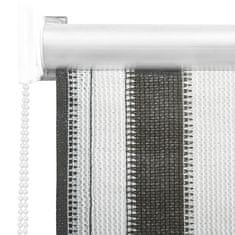 Vidaxl 312679 Outdoor Roller Blind 60x140 cm Anthracite and White Stripe