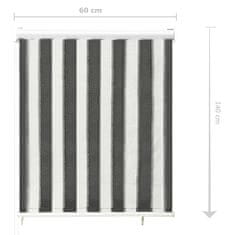 Vidaxl 312679 Outdoor Roller Blind 60x140 cm Anthracite and White Stripe