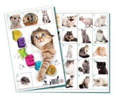Greatstore Pexeso Kočky společenská hra 32 obrázkových dvojic