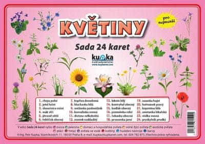 Kolektiv autorů: Sada 24 karet Květiny