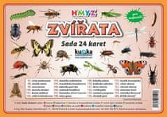 Kolektiv autorů: Sada 24 karet Zvířata hmyz