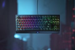 Razer Blackwidow V3 Tenkeyless, Razer Yellow, US (RZ03-03491800-R3M1)