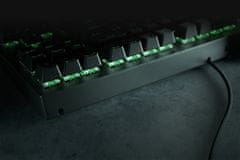 Razer Blackwidow V3 Tenkeyless, Razer Yellow, US (RZ03-03491800-R3M1)