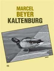 Marcel Beyer: Kaltenburg