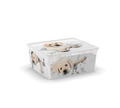 Greatstore Plastový box KIS Puppy and Kitten - M