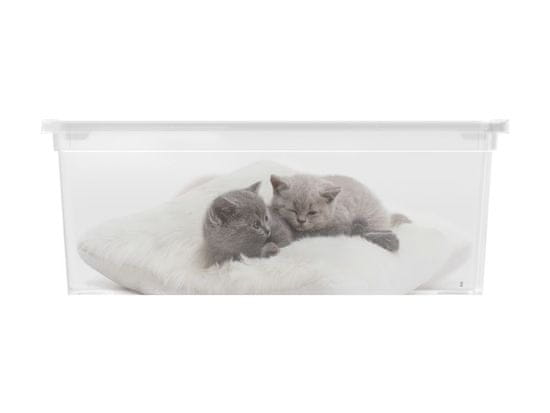 shumee Plastový box KIS Puppy and Kitten - S