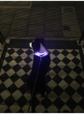 ILLUMINATED APPAREL Iluminačný obojok na psíka, modrý