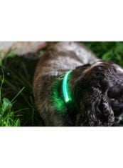 ILLUMINATED APPAREL Iluminačný obojok na psíka, zelený
