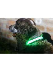 ILLUMINATED APPAREL Iluminačný obojok na psíka, zelený
