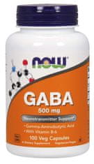 NOW Foods GABA (kyselina gama-aminomaslová) 500 mg + 2mg Vitamín B6, 200 kapsúl