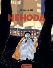 Mikael Ross: Nehoda