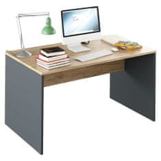 KONDELA Písací stôl Rioma New Typ 11 - grafit / dub artisan