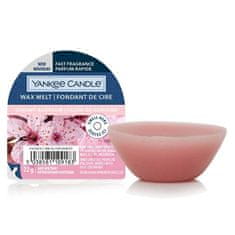 Yankee Candle Vonný vosk Cherry Blossom (New Wax Melt) 22 g