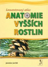 Jaroslav Jurčák: Komentovaný atlas anatomie vyšších rostlin