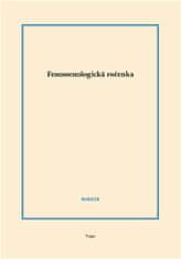 Aleš Novák: Fenomenologická ročenka 2019