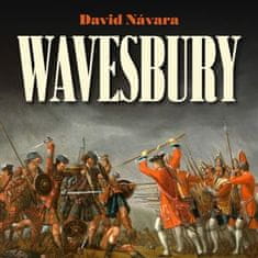 Wavesbury - David Návara CD