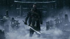 SONY Ghost of Tsushima Director's Cut PS4 (PS719715092)