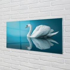 tulup.sk Sklenený obraz Swan vo vode 100x50 cm 2 Prívesky