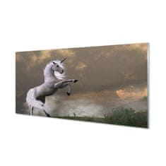 tulup.sk Nástenný panel  Unicorn top 120x60 cm