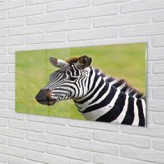 tulup.sk Sklenený obraz zebra 120x60 cm 4 Prívesky