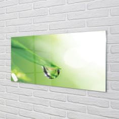 tulup.sk Obraz plexi Drop list slnko 120x60 cm 4 Prívesky