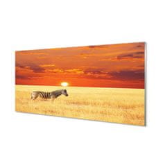 tulup.sk Nástenný panel  Zebra poľa sunset 100x50 cm