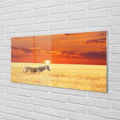 tulup.sk Nástenný panel  Zebra poľa sunset 100x50 cm