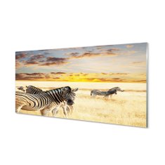 tulup.sk Nástenný panel  Zebry poľa sunset 100x50 cm