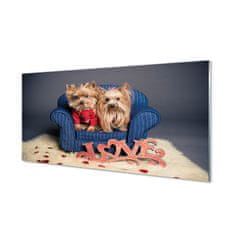 tulup.sk Nástenný panel  yorkie 100x50 cm