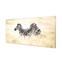 tulup.sk Nástenný panel  zebra box 140x70 cm