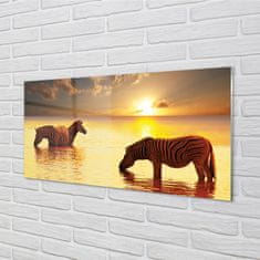 tulup.sk Nástenný panel  Zebry voda západ slnka 100x50 cm